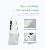 Dental Flosser White